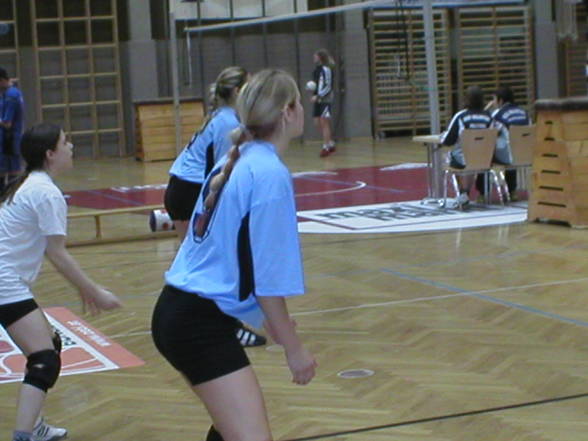 volleyball - 