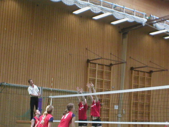 volleyball - 