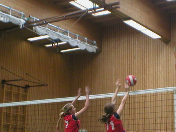 volleyball - 