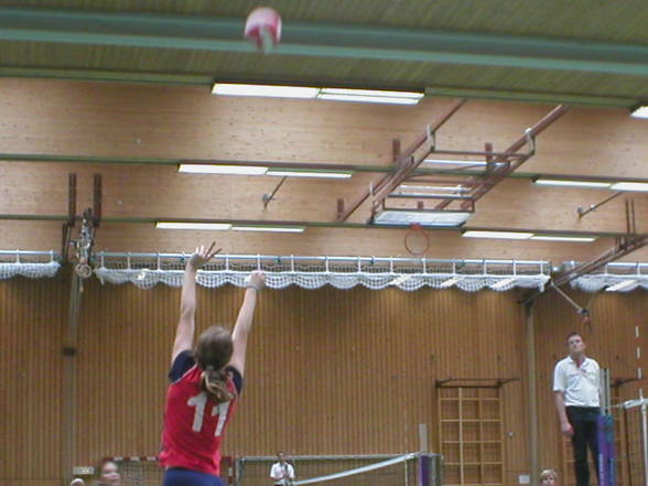 volleyball - 