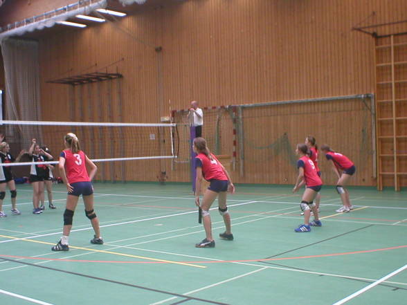 volleyball - 