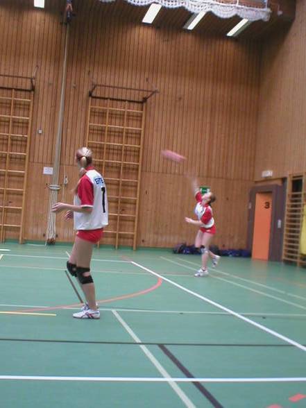 volleyball - 