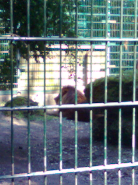 Tierpark Haag - 