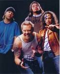 METALLICA!!!!  - 