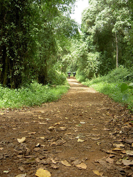 Kilimandjaro und Sansibar 09 - 