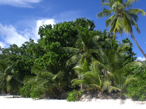 Urlaub 2010 - 