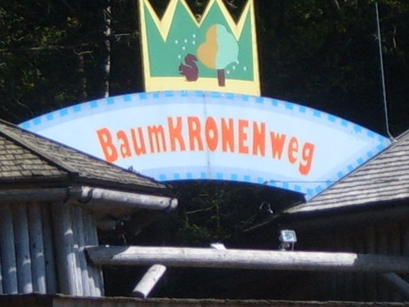 BaumKRONENweg - 