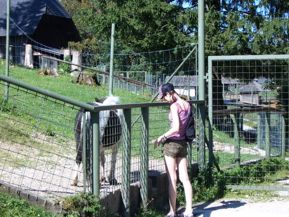 WiLdPaRk & GmUnDeN - 