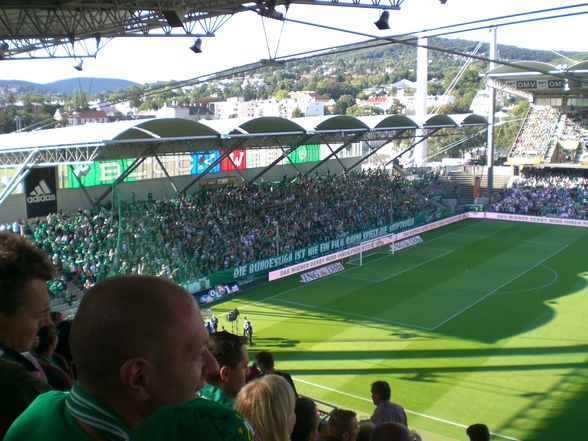 SK Rapid Wien Ale Ale - 