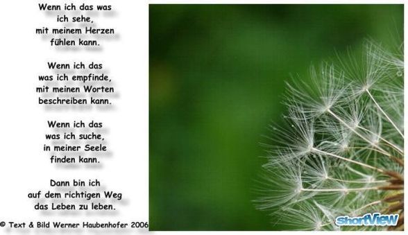 romantisch - 
