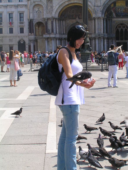 venedig sommer 2009 - 