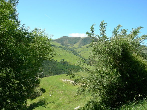 Akaroa - Banks Peninsula - 