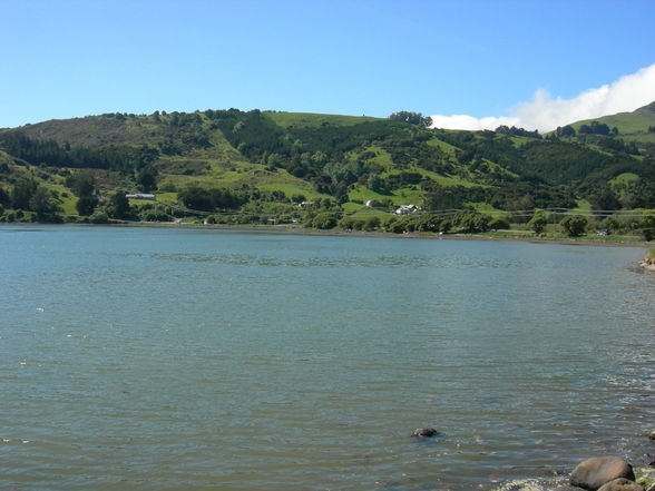 Akaroa - Banks Peninsula - 