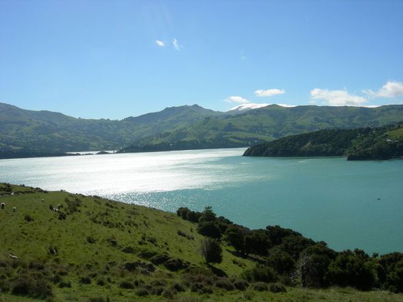 Akaroa - Banks Peninsula - 