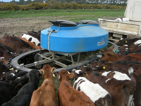 Farming New Zealand - 