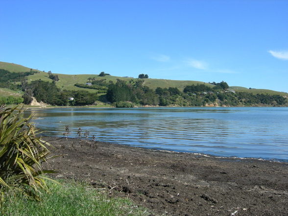 Akaroa - Banks Peninsula - 