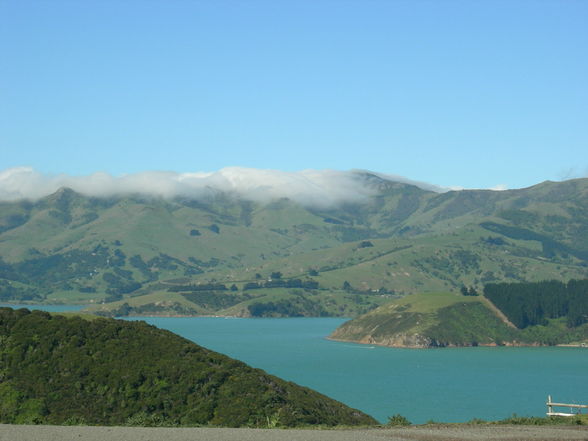 Akaroa - Banks Peninsula - 