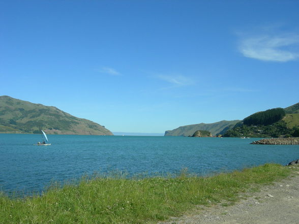 Akaroa - Banks Peninsula - 
