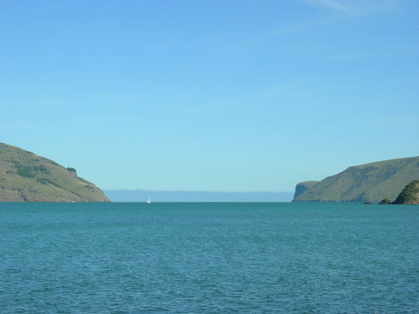 Akaroa - Banks Peninsula - 