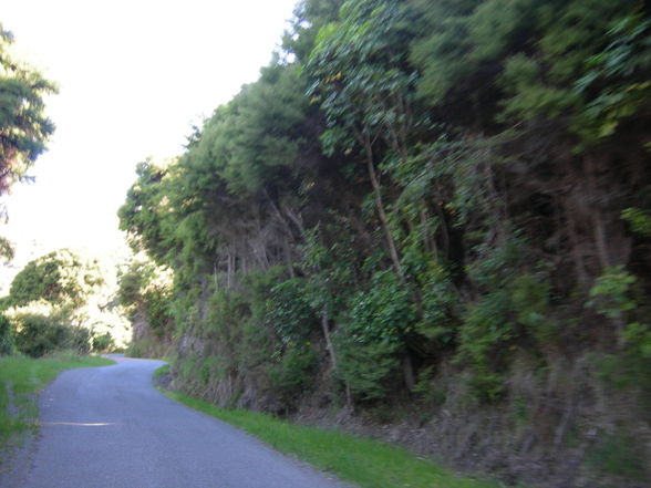 Akaroa - Banks Peninsula - 