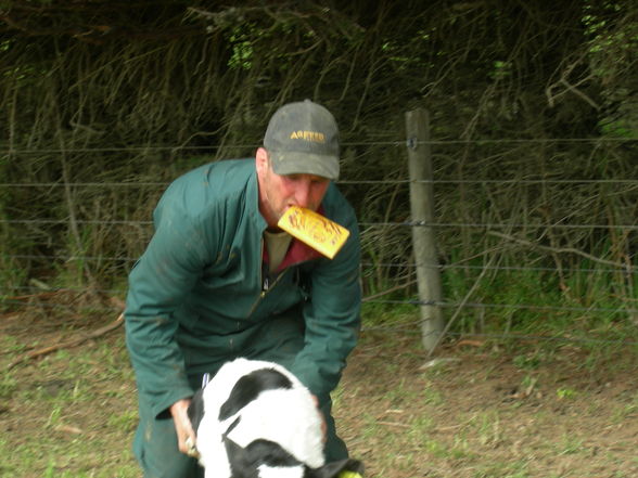 Farming New Zealand - 