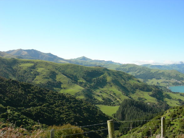 Akaroa - Banks Peninsula - 