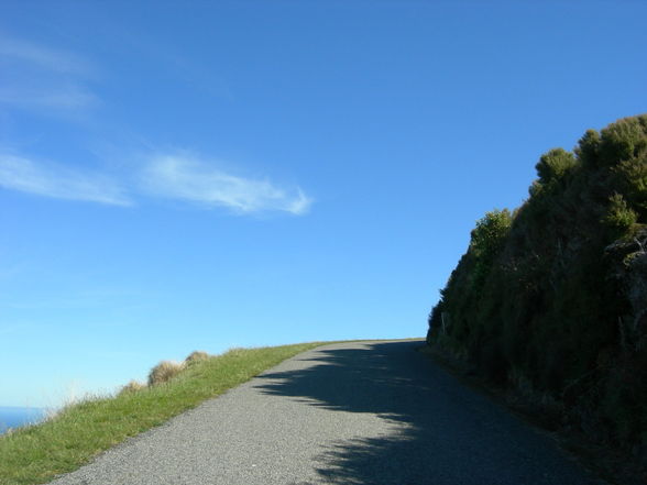 Akaroa - Banks Peninsula - 