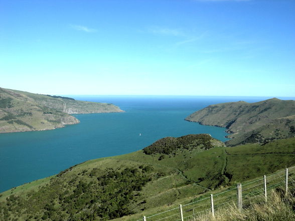 Akaroa - Banks Peninsula - 