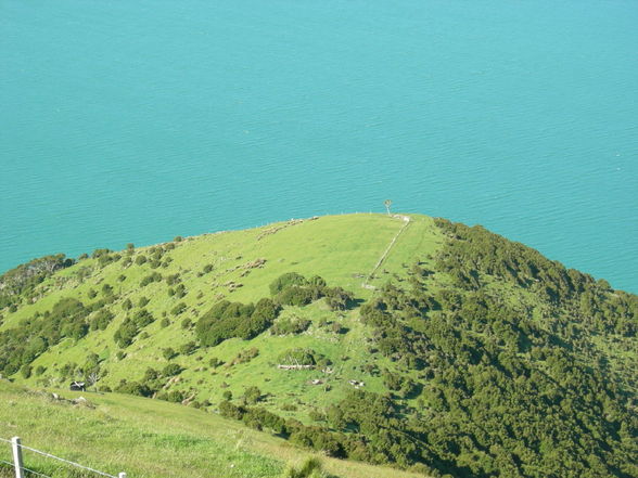 Akaroa - Banks Peninsula - 