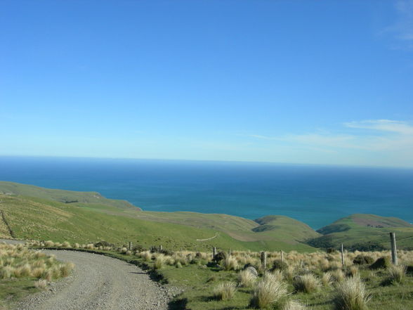 Akaroa - Banks Peninsula - 