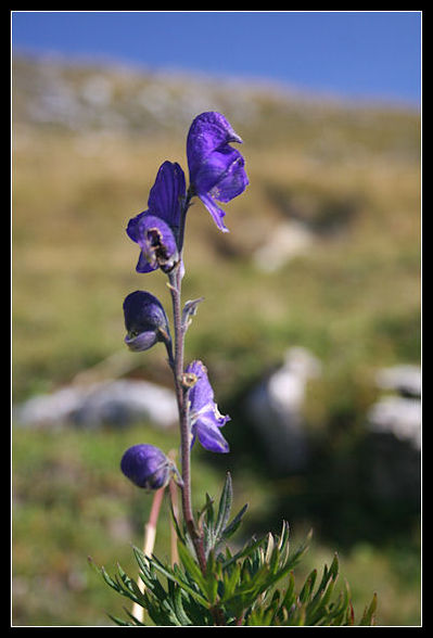 grundlsee - 