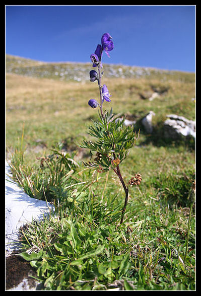 grundlsee - 