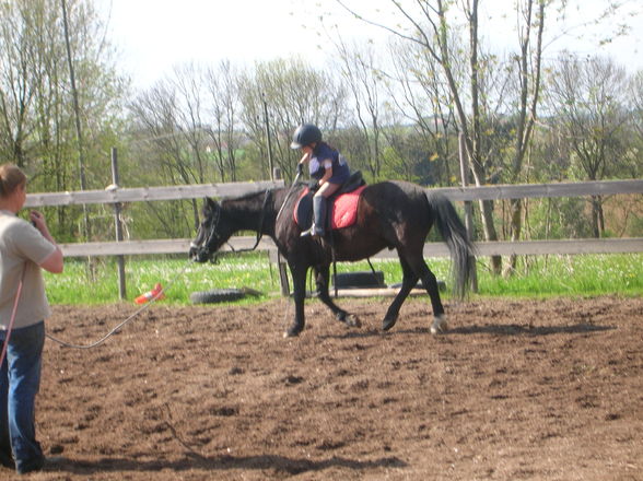 meine erste reitstunde beim forsterhof - 