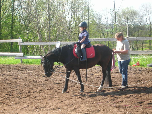 meine erste reitstunde beim forsterhof - 