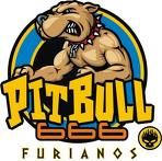 PIT BULL GERMANY - 