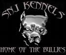 PIT BULL GERMANY - 