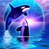 Orca - 