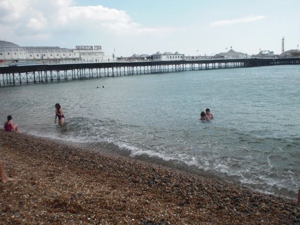 Brighton . England 2 - 