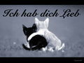 Tiere - 