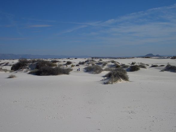 White Sands - 