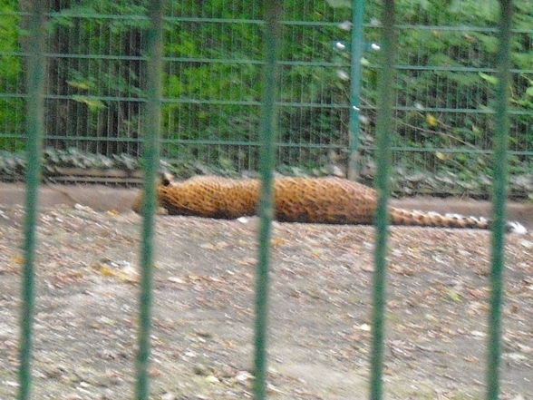 Tierpark Haag 2009 - 