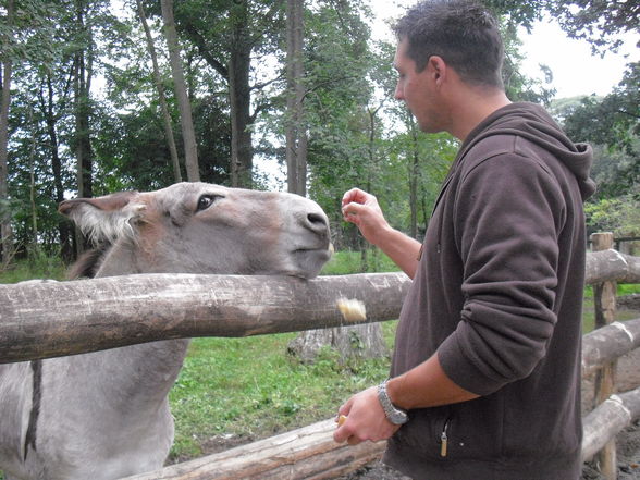 Tierpark Haag 2009 - 