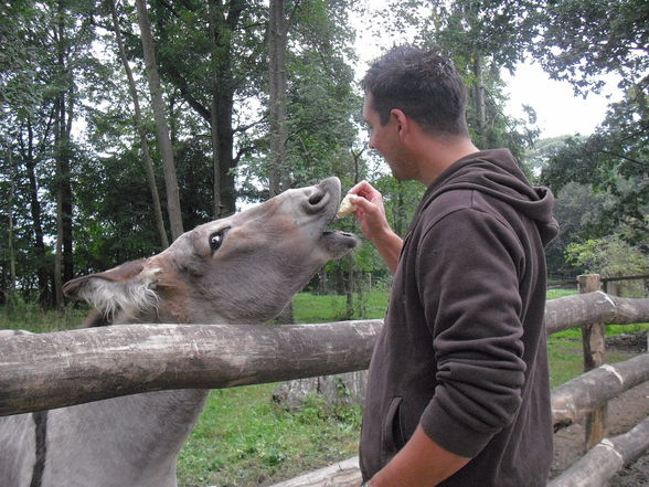 Tierpark Haag 2009 - 