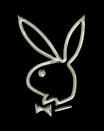 bunny - 