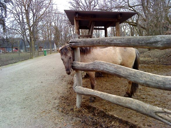 Tierpark mit de wuffis..!! - 