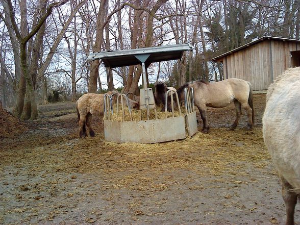 Tierpark mit de wuffis..!! - 