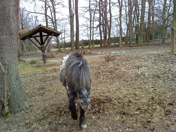 Tierpark mit de wuffis..!! - 