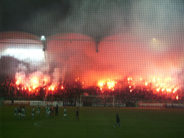 ULTRAS RAPID - 