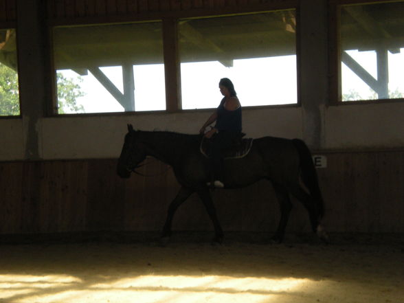 reiten in Oberösterreich - 