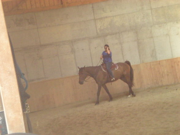 reiten in Oberösterreich - 